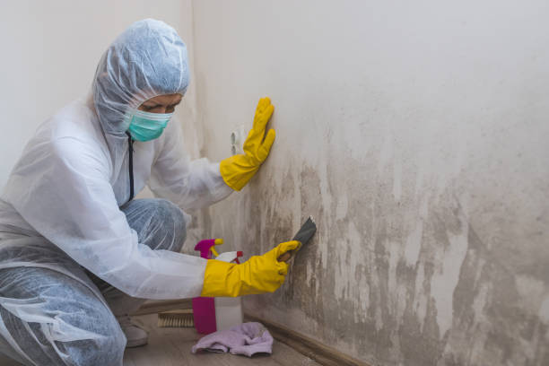 Best Residential Mold Removal  in Weaver, AL