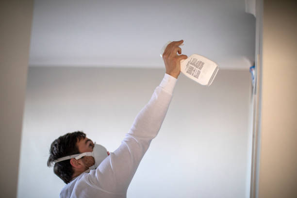 Best Same-Day Mold Removal  in Weaver, AL