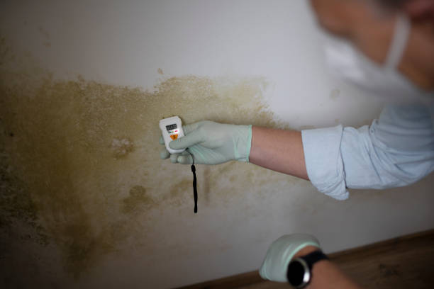Best Commercial Mold Removal  in Weaver, AL