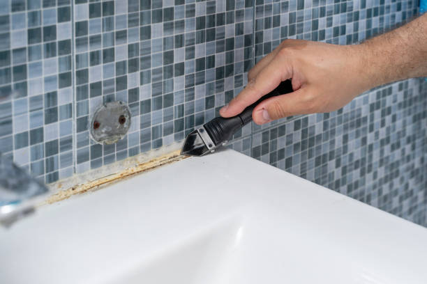 Best Attic Mold Removal  in Weaver, AL