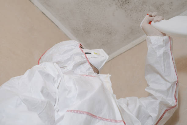 Best Mold Testing  in Weaver, AL